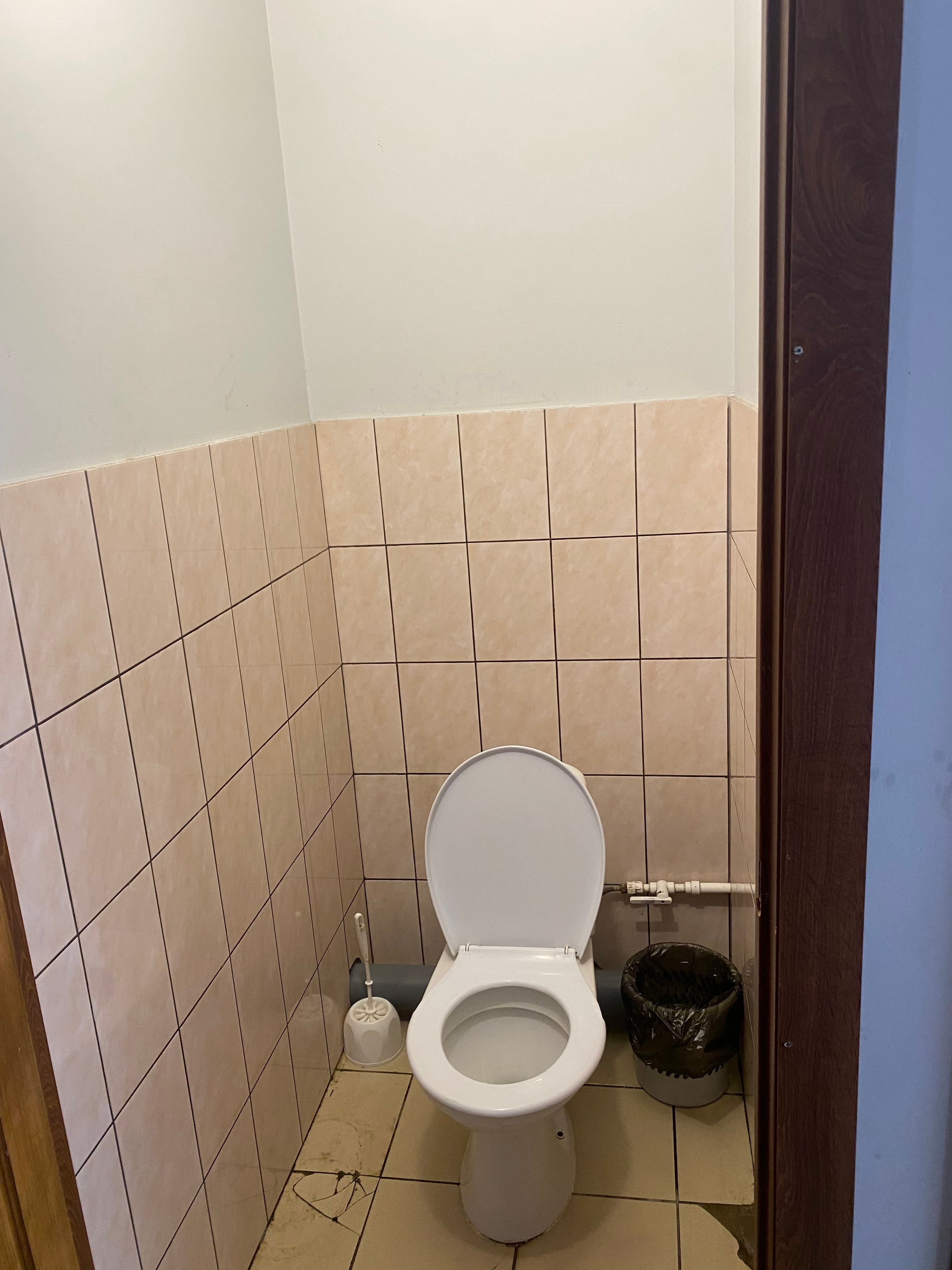 Превью 6