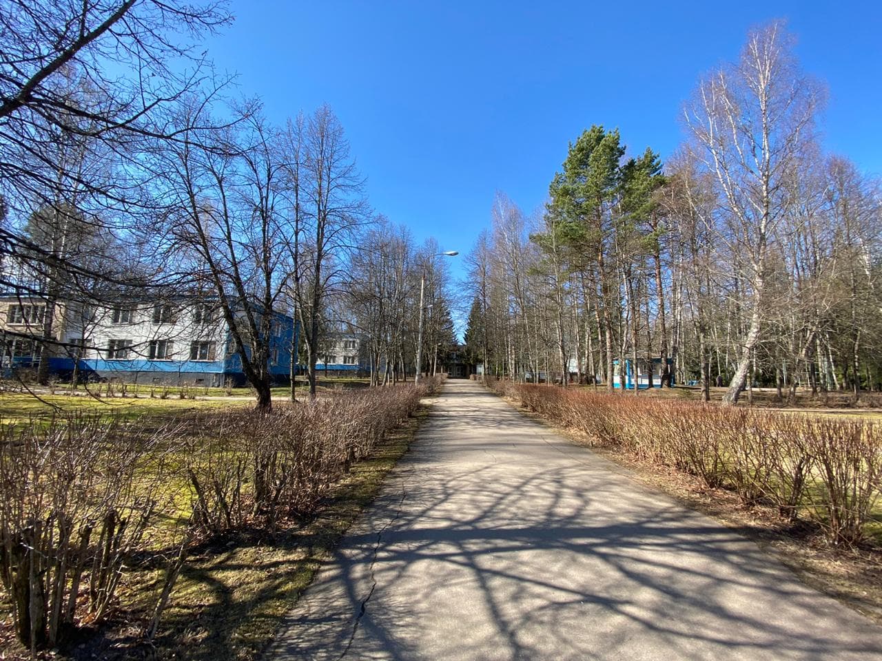 Превью 6